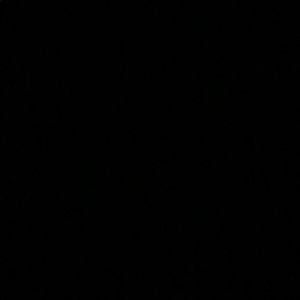 Meet your Posher, Daniela